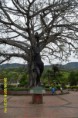 /album/fotogaleria-fotogaleria/sam-0460-jpg/